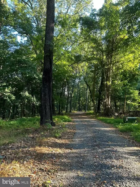 220 High Knob, Old Fields, WV 26845 photo 3