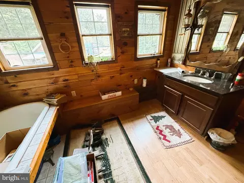 Bath - 954 Rusty Ln, Mathias, WV 26812 photo 4 of 4
