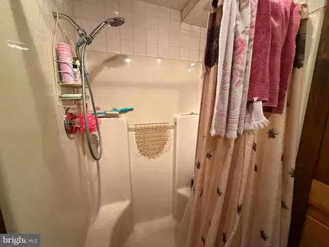 Bath - 954 Rusty Ln, Mathias, WV 26812 photo 2 of 4