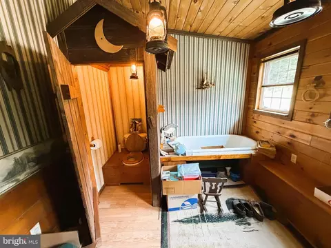 Bath - 954 Rusty Ln, Mathias, WV 26812 photo 3 of 4