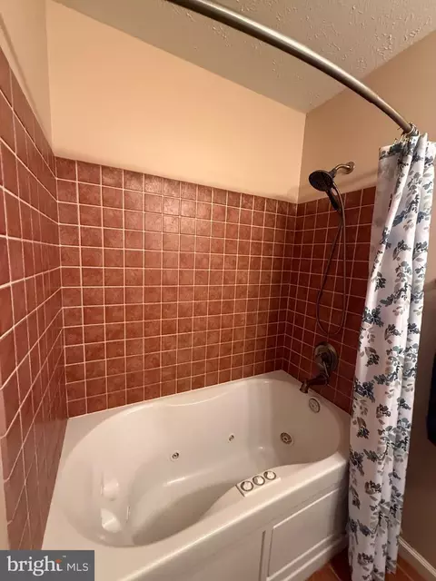Bath - 367 Clinton Dr, Baker, WV 26801 photo 3 of 3