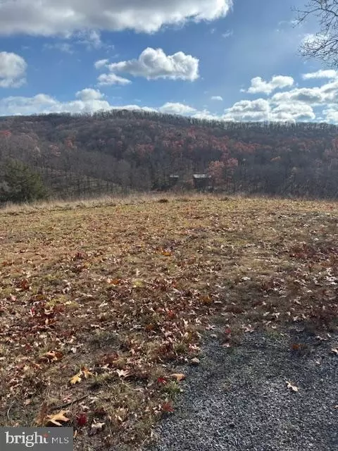 Ewing Drive, Baker, WV 26801 photo 4