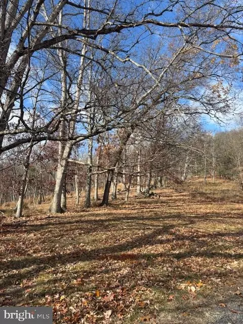 Ewing Drive, Baker, WV 26801 photo 5