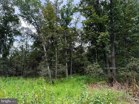 Other - 6859 Us Highway 220 N, Old Fields, WV 26845 photo 32 of 38