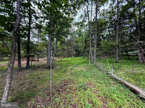Other - 6859 Us Highway 220 N, Old Fields, WV 26845 photo 26 of 38
