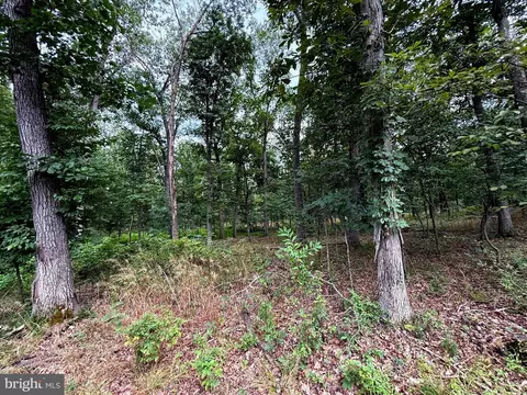 Other - 6859 Us Highway 220 N, Old Fields, WV 26845 photo 38 of 38