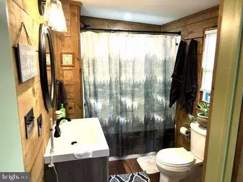 Bath - 141 Matthews Loop, Mathias, WV 26812 photo 1 of 2