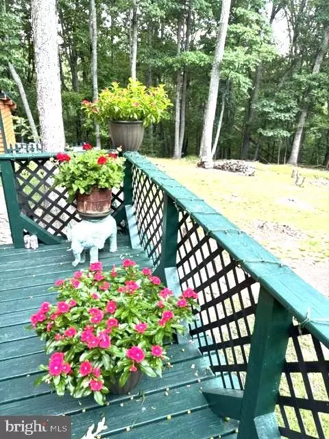 Exterior - 141 Matthews Loop, Mathias, WV 26812 photo 5 of 15