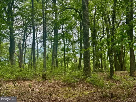 5620 High Knob Rd, Old Fields, WV 26845 photo 7