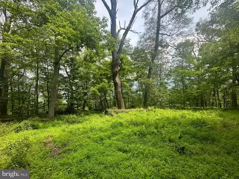 5620 High Knob Rd, Old Fields, WV 26845 photo 18
