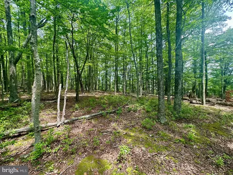 5620 High Knob Rd, Old Fields, WV 26845 photo 13