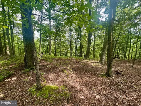 5620 High Knob Rd, Old Fields, WV 26845 photo 17