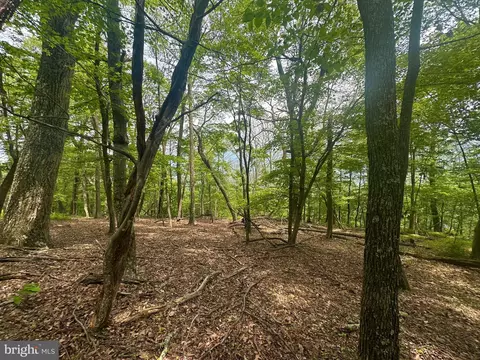 5620 High Knob Rd, Old Fields, WV 26845 photo 11