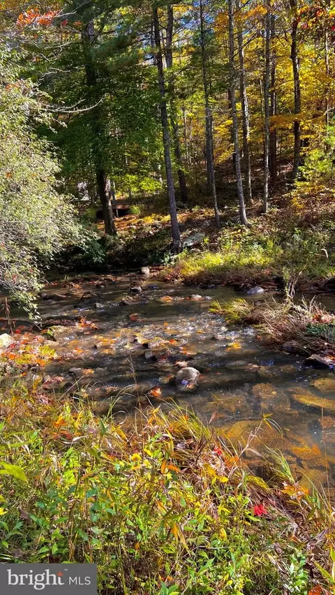 lot4 Brooke Trout Dr, Wardensville, WV 26851
