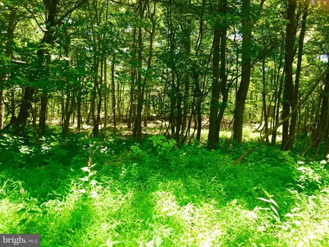 lot15 Falcon View Dr, Capon Bridge, WV 26711