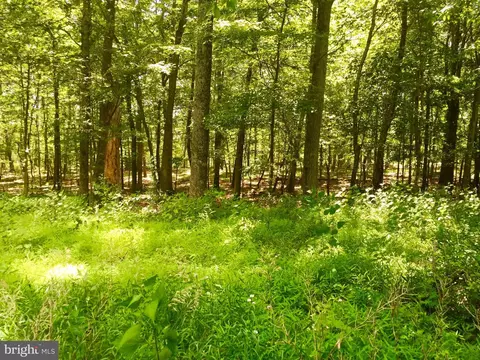 lot16 Falcon View Dr, Capon Bridge, WV 26711