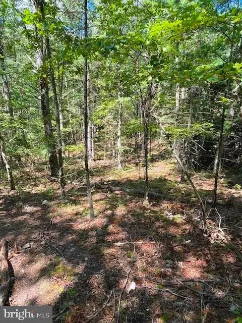 50 Davids Rd, Delray, WV 26714