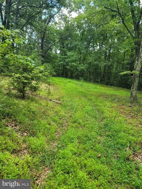 513 Linwood Dr, Delray, WV 26714