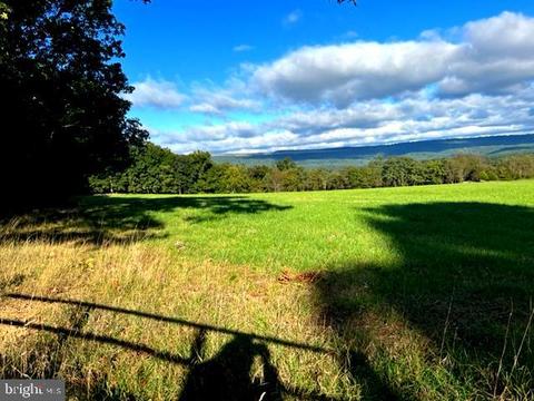 Huckelberry Hollow Drive, Purgitsville, WV 26852