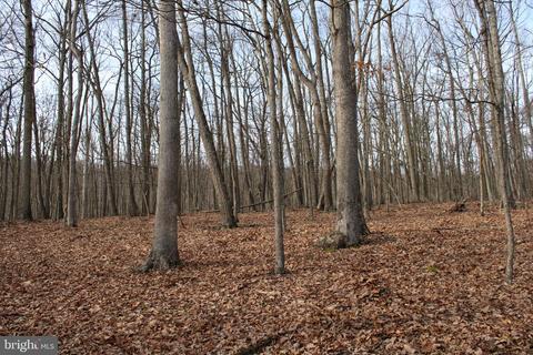 7 13 Ac Whispering Pines Rd, Slanesville, WV 25444