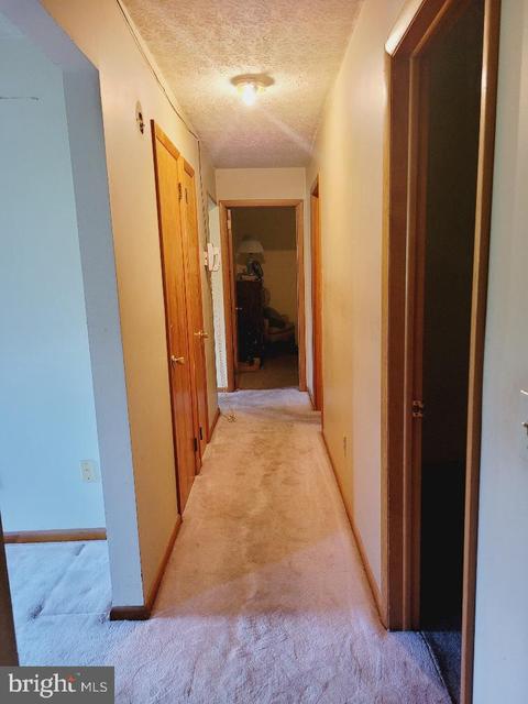 51 Hickory Hill Rd, Old Fields, WV 26845 photo 12