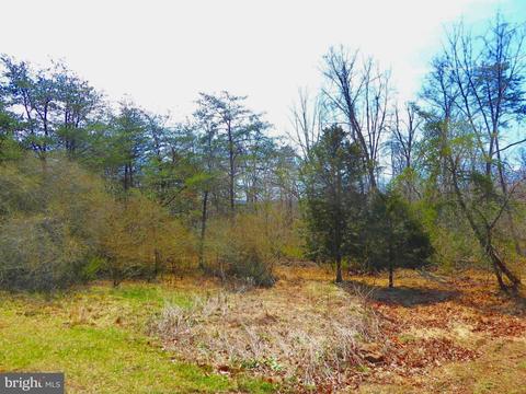 Lot 4 Coopers Run Road, Capon Bridge, WV 26711