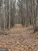 Undisclosed, Capon Bridge, WV 26711