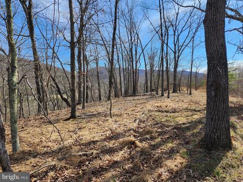 16 Silver Gap View, Romney, WV 26757