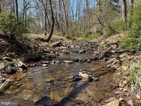 40 Coon Holw, Romney, WV 26757