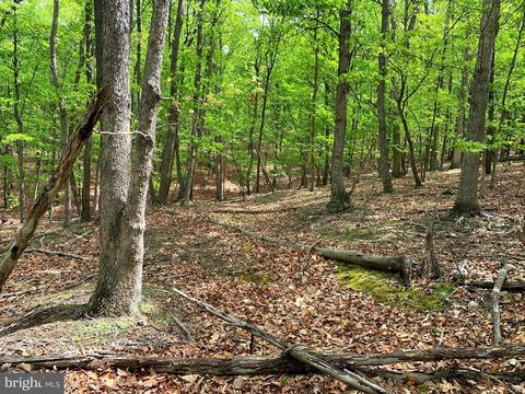 Beam Road, Romney, WV 26757