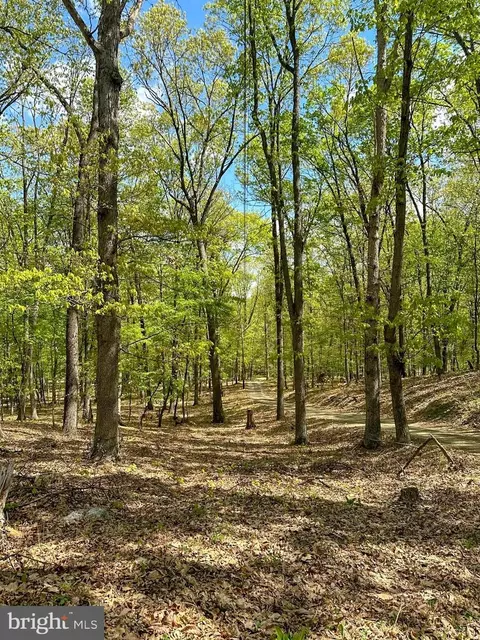 570 Hickory Hill Rd, Old Fields, WV 26845 photo 39