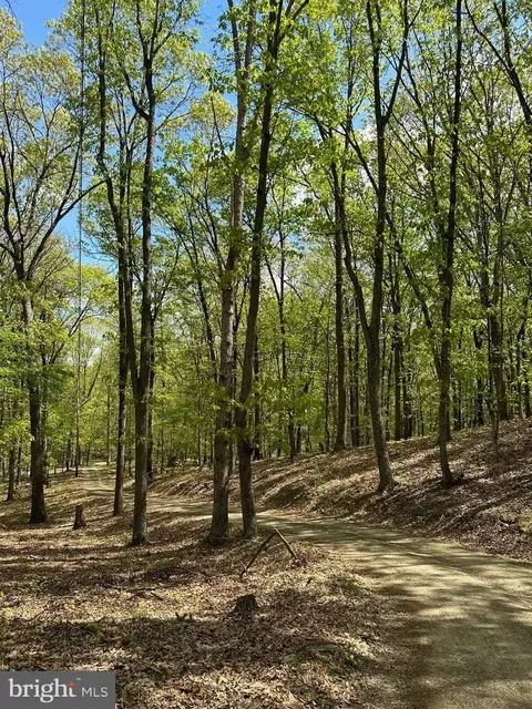 570 Hickory Hill Rd, Old Fields, WV 26845 photo 38