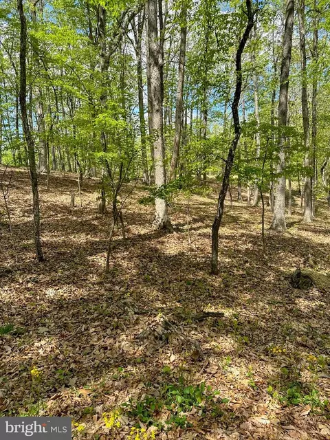 570 Hickory Hill Rd, Old Fields, WV 26845 photo 37
