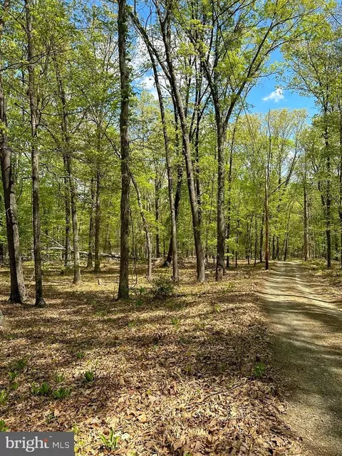 570 Hickory Hill Rd, Old Fields, WV 26845 photo 40