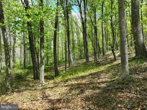 3 North Laurel Ridge Road, Capon Bridge, WV 26711