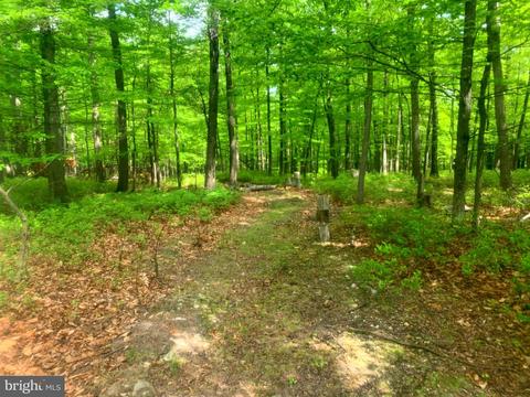 Doman Ridge Road, Springfield, WV 26763