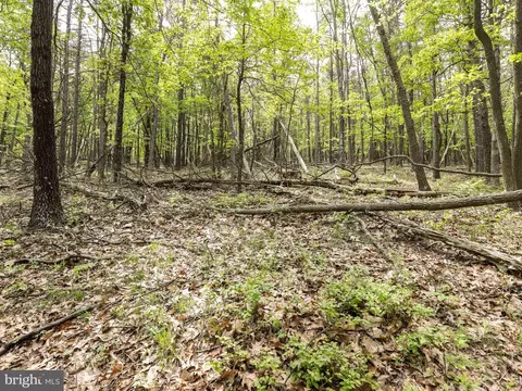 Cold Stream Road, Capon Bridge, WV 26711