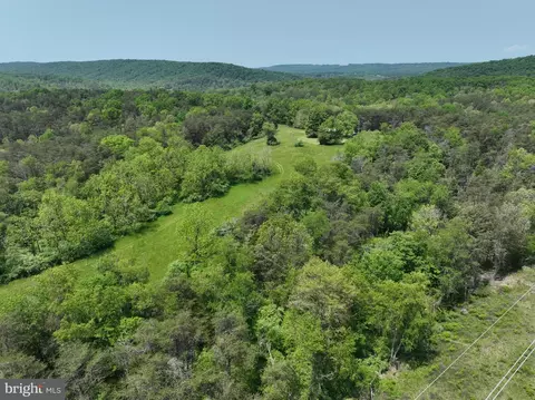 533 Green Pine Ln, Points, WV 25437 photo 41