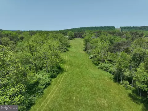 533 Green Pine Ln, Points, WV 25437 photo 35