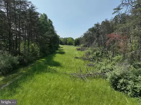 533 Green Pine Ln, Points, WV 25437 photo 26
