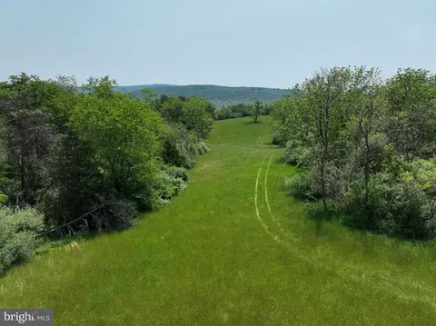 533 Green Pine Ln, Points, WV 25437 photo 34