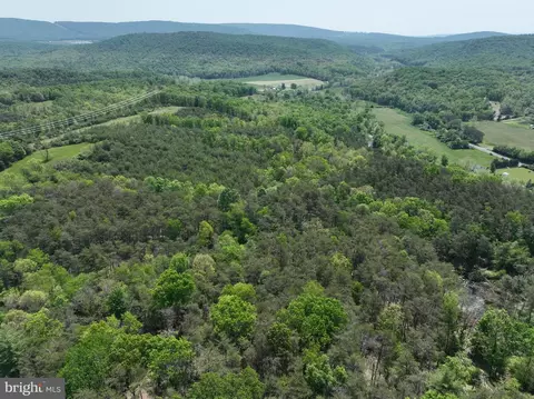 533 Green Pine Ln, Points, WV 25437 photo 52