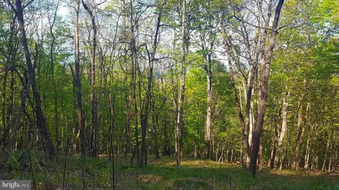 High View Road, Old Fields, WV 26845 photo 8