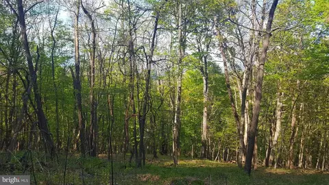 High View Road, Old Fields, WV 26845 photo 13