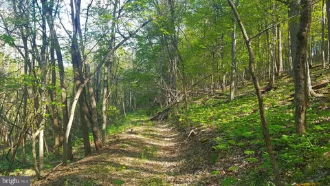 High View Road, Old Fields, WV 26845 photo 6