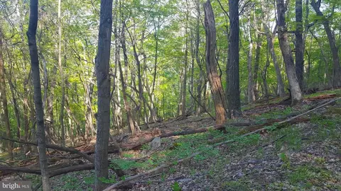 High View Road, Old Fields, WV 26845 photo 15