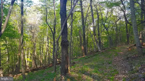 High View Road, Old Fields, WV 26845 photo 14