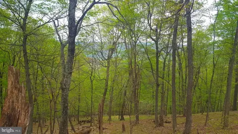 High View Road, Old Fields, WV 26845 photo 5