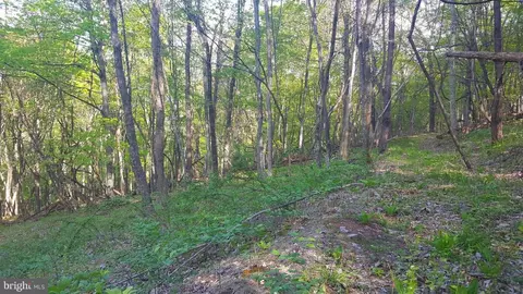 High View Road, Old Fields, WV 26845 photo 7