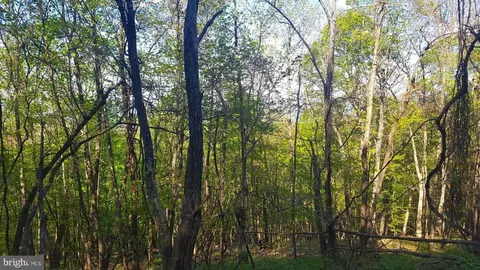 High View Road, Old Fields, WV 26845 photo 4